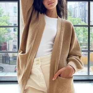 Aritzia Wilfred Free Blazer (colour: Tannin)